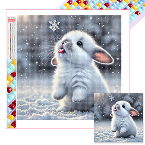Animal-Full Square Diamond Painting-40x40cm
