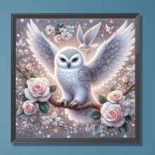 Charger l&#39;image dans la galerie, Chouette et rose blanche -Diamond painting -30*30

