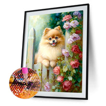 Charger l&#39;image dans la galerie, Dog-complet Round peinture au diamant-30x40cm
