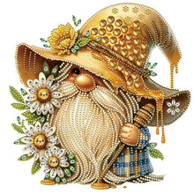 Charger l&#39;image dans la galerie, Gnome-Peinture diamant spéciale partielle-30x30cm
