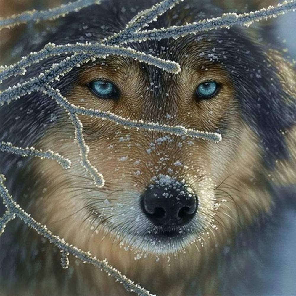 Loup - diamant rond complet - 30x30cm