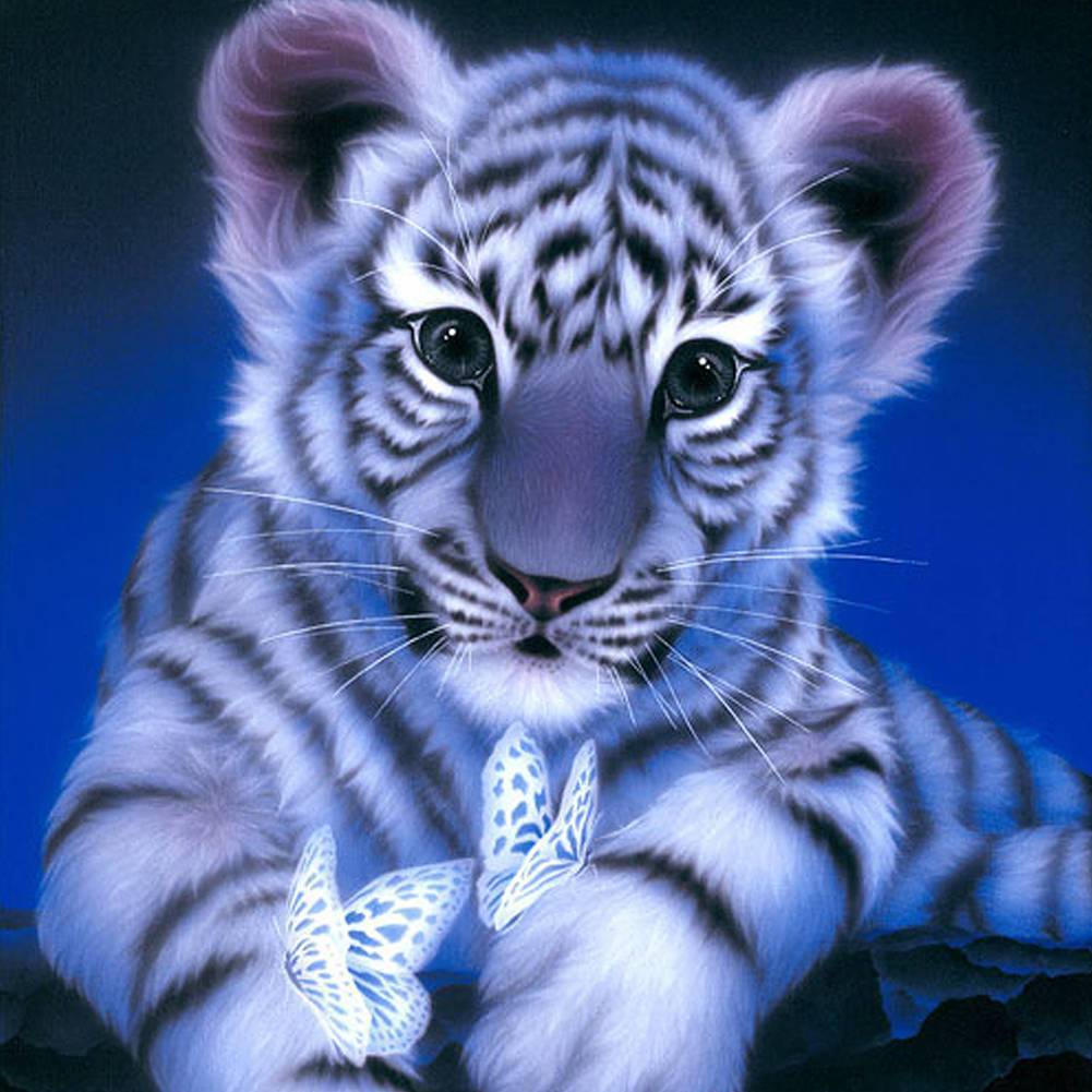 Tigre -Round Diamond painting 30*30cm