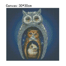Charger l&#39;image dans la galerie, Aigle - peinture en diamant complet - 30x30cm
