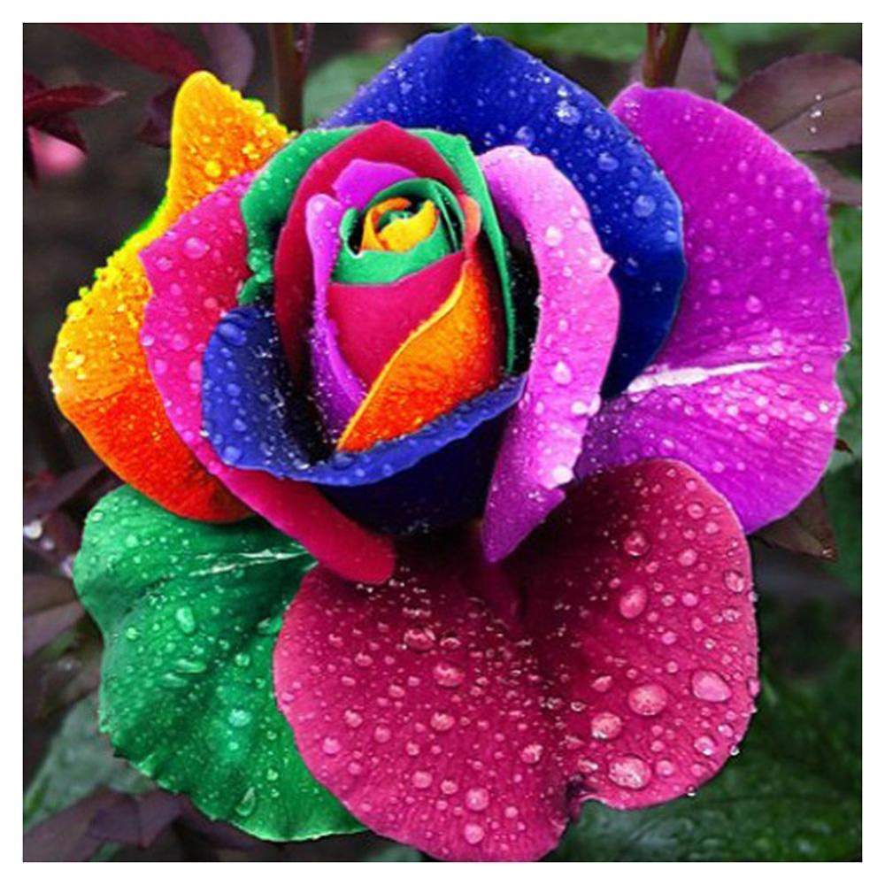 Fleur colorée - diamant rond complet - 30x30cm