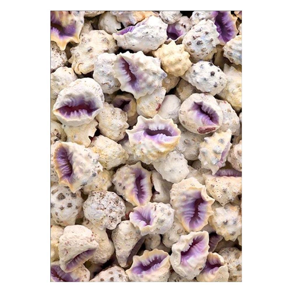 Ensemble conque - diamant rond complet - 30x40cm