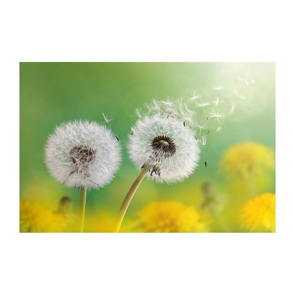 Pissenlit - diamant rond complet - 40x30cm