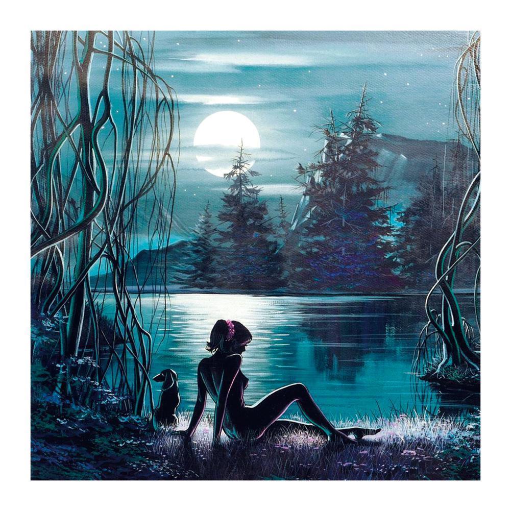 Beauté de la lune - peinture en diamant complet - 30x30cm