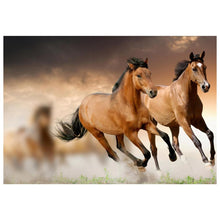 Charger l&#39;image dans la galerie, Course de cheval - peinture complète de diamant - 30x25cm
