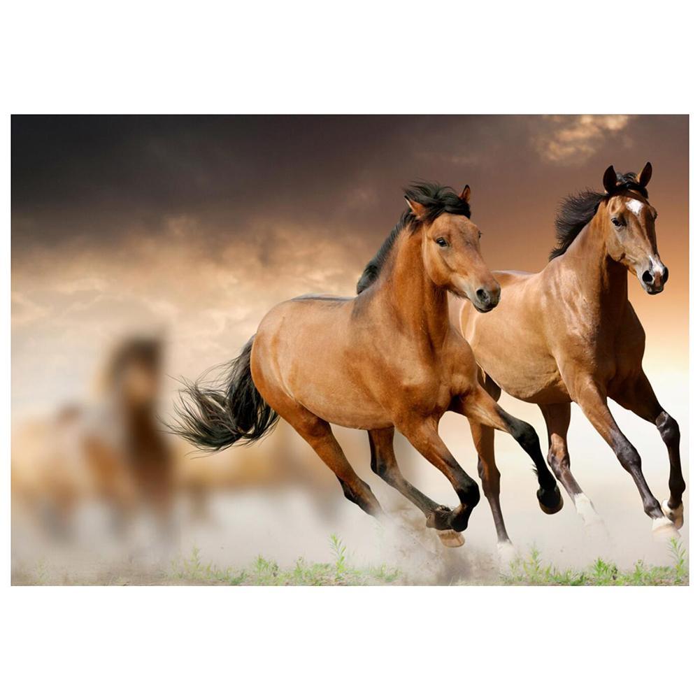 Course de cheval - peinture complète de diamant - 30x25cm