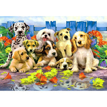 Charger l&#39;image dans la galerie, Chiens animaux - peinture diamant pleine - 40x30cm
