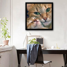 Charger l&#39;image dans la galerie, Chat - peinture en diamant complet - 30x30cm
