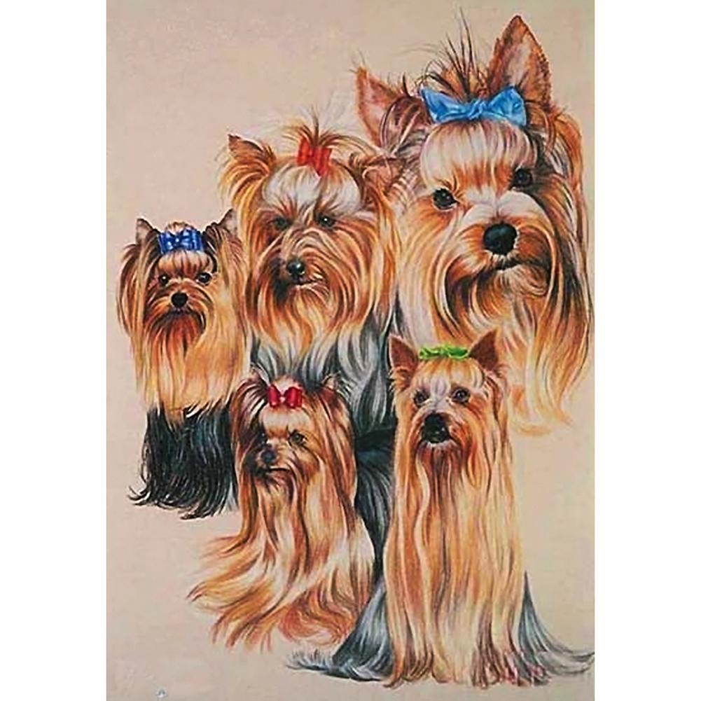 Chiens animaux - peinture diamant - 40x30cm