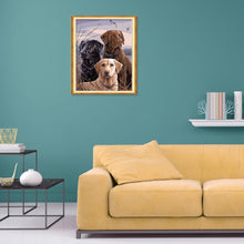 Charger l&#39;image dans la galerie, Chien - peinture en diamant complet - 30x25cm
