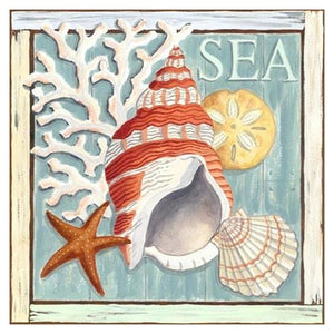 Escargot de mer - diamant rond complet - 30x30cm