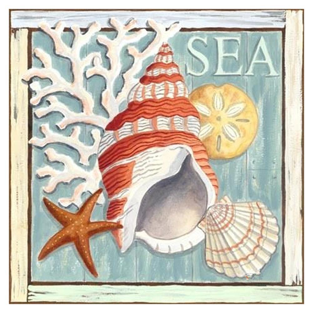 Escargot de mer - diamant rond complet - 30x30cm