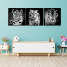 Charger l&#39;image dans la galerie, 3pcs/animaux ensemble - peinture en diamant carré complet - 80x30cm
