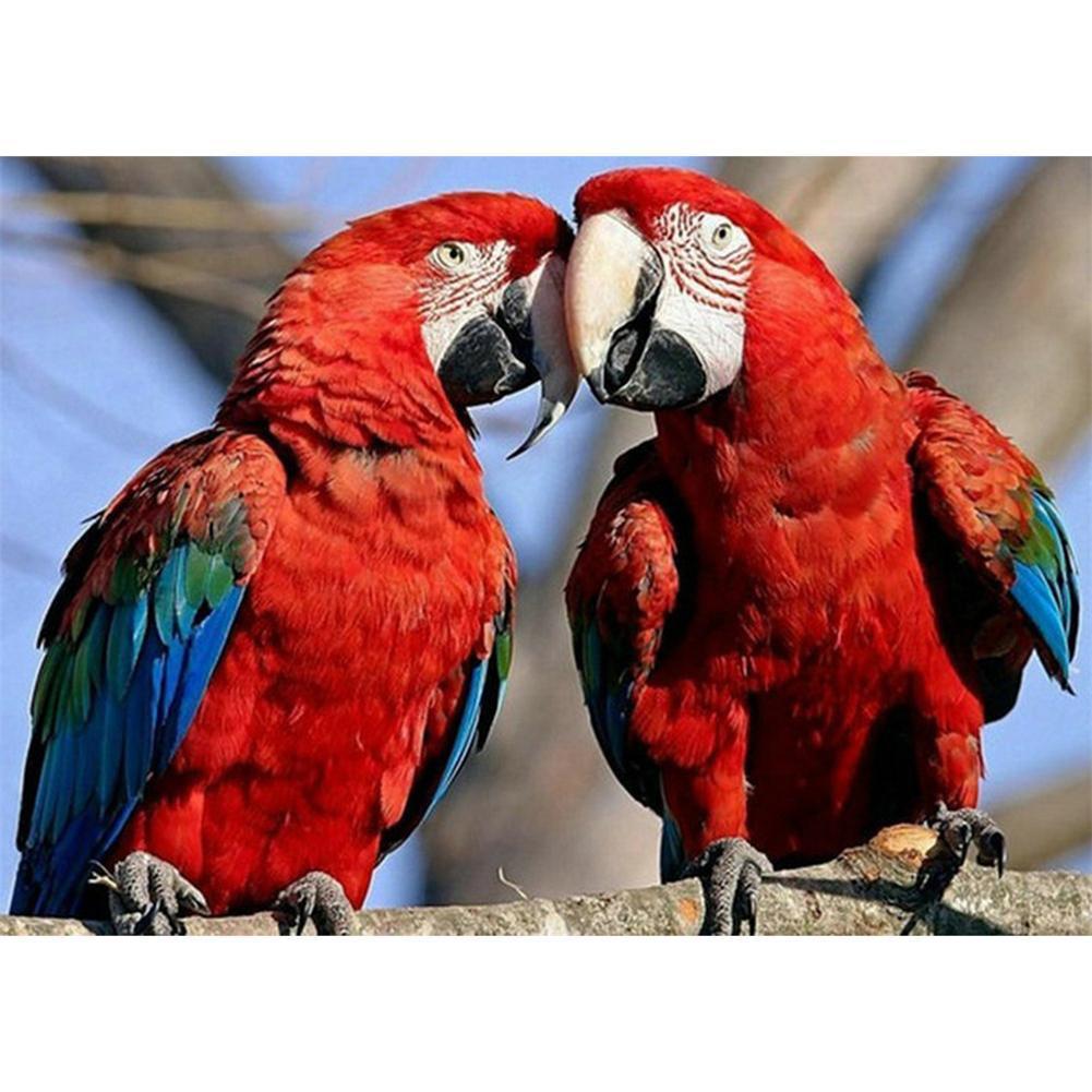 Oiseau - diamant rond complet - 40x30cm