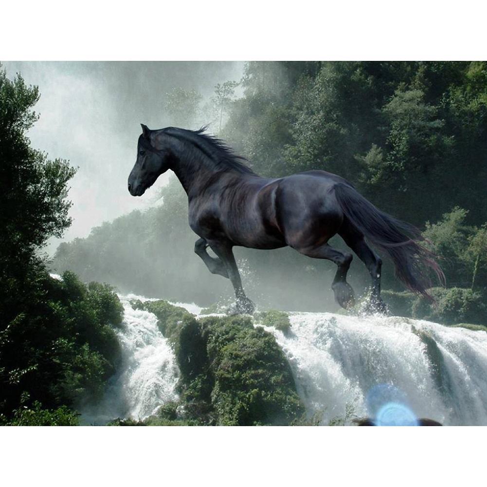 Cheval de course - diamant rond complet - 40x30cm