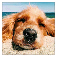 Charger l&#39;image dans la galerie, Chien - peinture en diamant complet - 30x30cm
