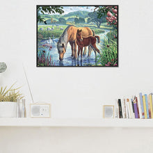 Charger l&#39;image dans la galerie, Cheval potable - peinture en diamant complet - 40x30cm
