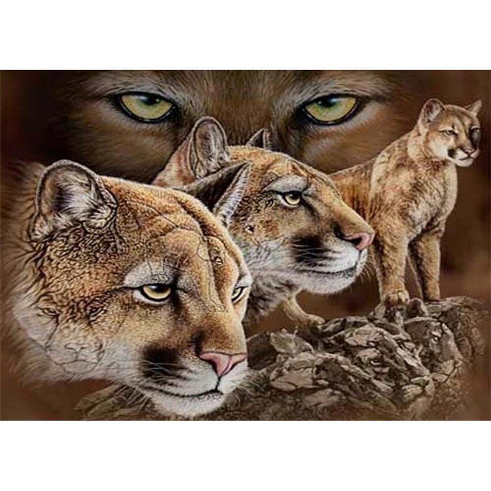 Tigre - peinture en diamant complet - 40x30cm