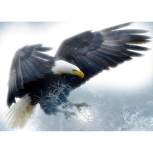 Charger l&#39;image dans la galerie, Aigle volant - peinture complète de diamant - 40x30cm
