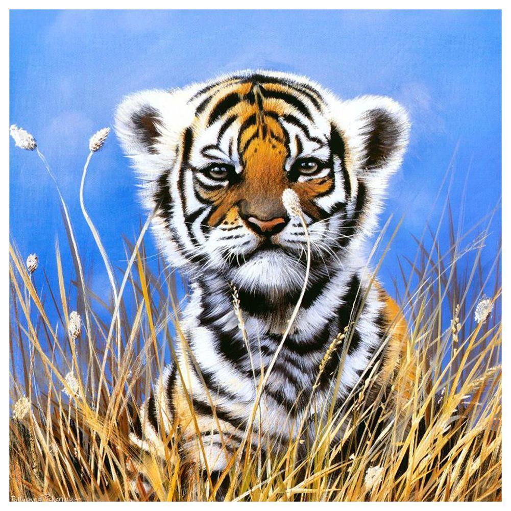 Petit tigre - peinture en diamant complet - 30x30cm