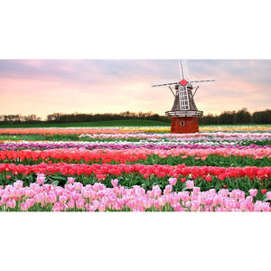 Fleurs de moulin à vent - diamant rond complet - 40x30cm