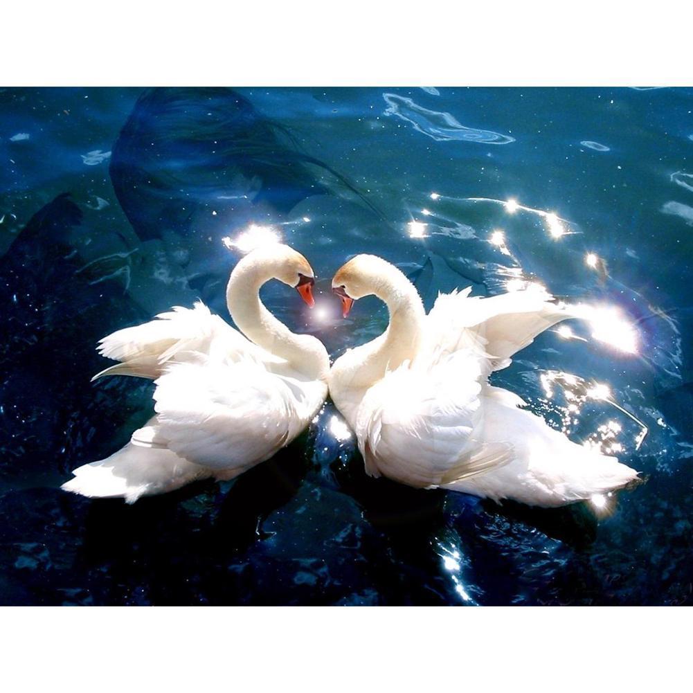 Cygne d’amour - diamant rond complet - 40x30cm