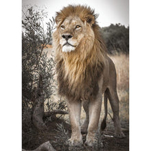 Charger l&#39;image dans la galerie, Lion désert - diamant rond complet - 40x30cm
