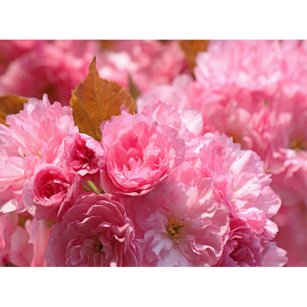 Fleur - diamant rond complet - 40x30cm