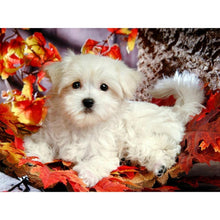 Charger l&#39;image dans la galerie, Chien blanc - diamant rond complet - 40x30cm
