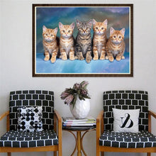 Charger l&#39;image dans la galerie, Chats à la recherche - diamant rond complet - 40x30cm
