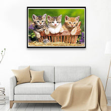 Charger l&#39;image dans la galerie, Beaux chats - peinture diamant - 40x30cm
