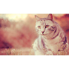 Charger l&#39;image dans la galerie, Animal - diamant rond complet - 40x30cm
