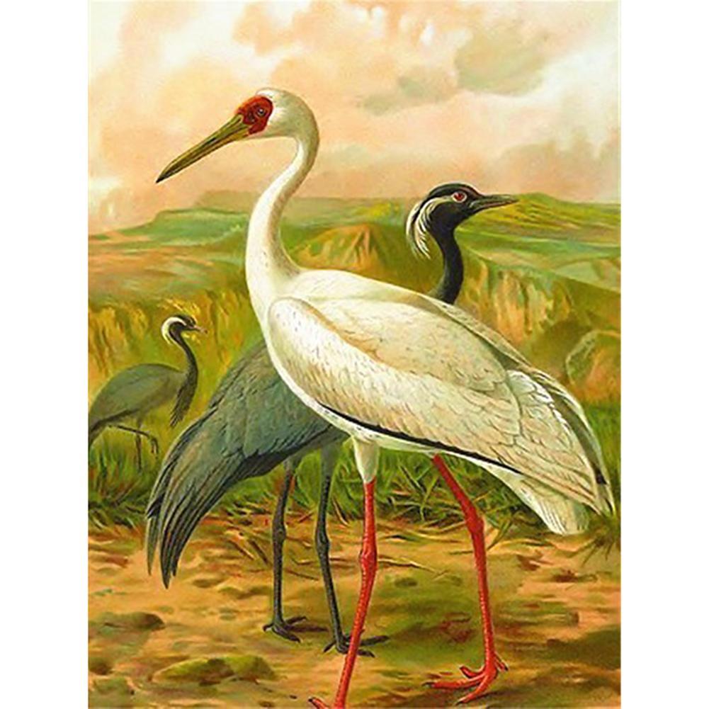 Animaux - diamant rond complet - 40x30cm