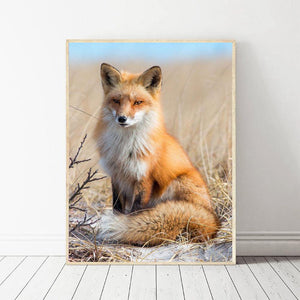 Animal - diamant rond complet - 30x40cm