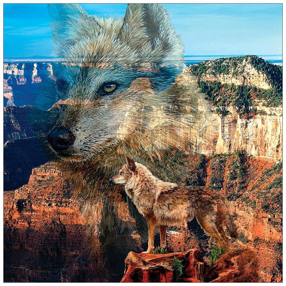 Loup - peinture en diamant complet - 30x30cm