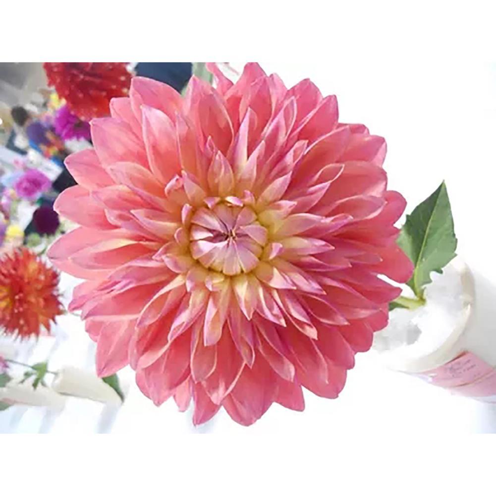 Cadeaux - diamant rond complet - 40x30cm