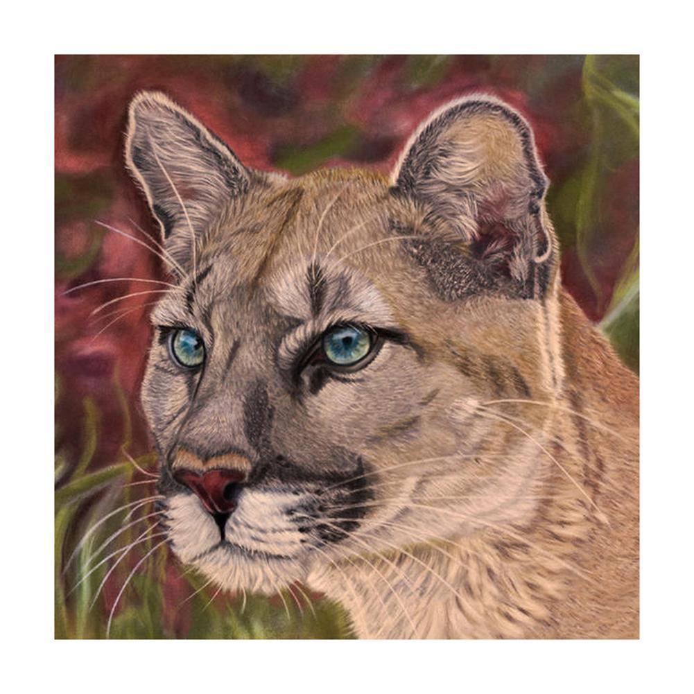 Animaux - diamant rond complet - 30x30cm