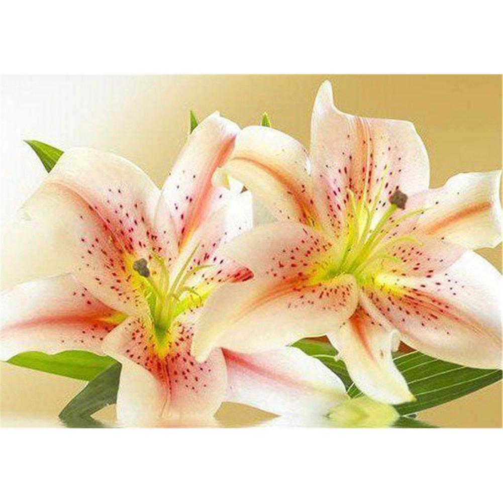 Fleur - diamant rond complet - 40x30cm