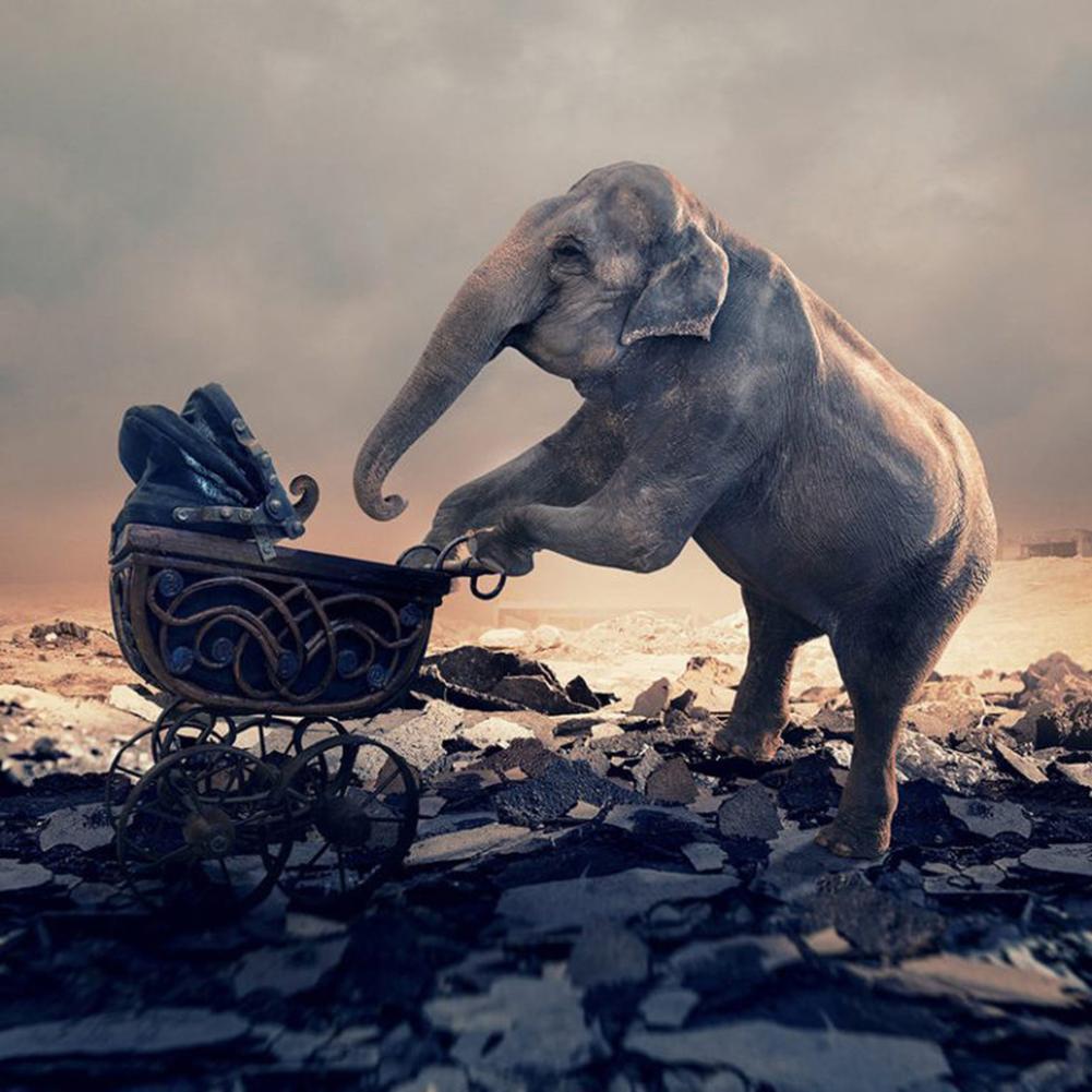 Animal - diamant rond complet - 30x30cm