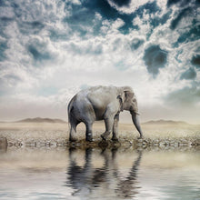 Charger l&#39;image dans la galerie, Animal - diamant rond complet - 30x30cm
