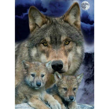 Charger l&#39;image dans la galerie, Mosaïque - diamant rond complet - 40x30cm
