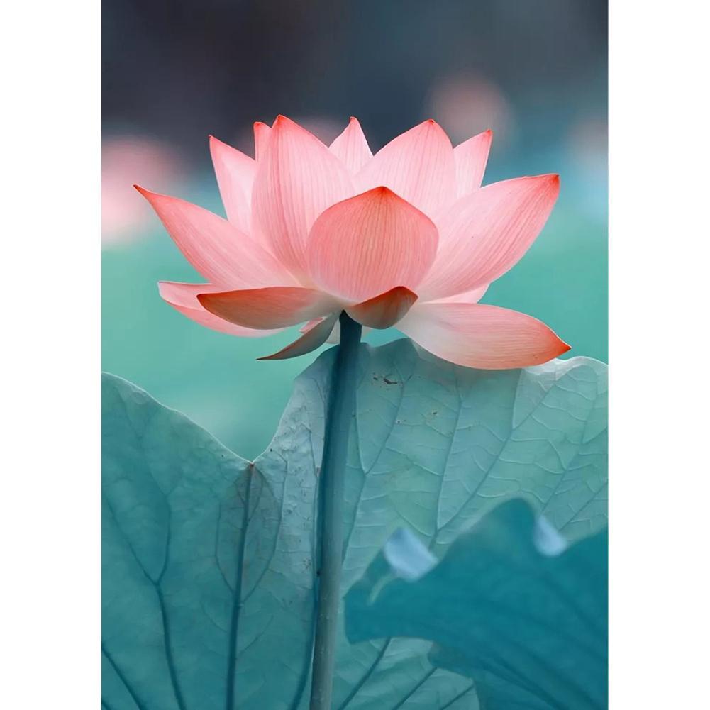 Fleurs - diamant rond complet - 30x40cm