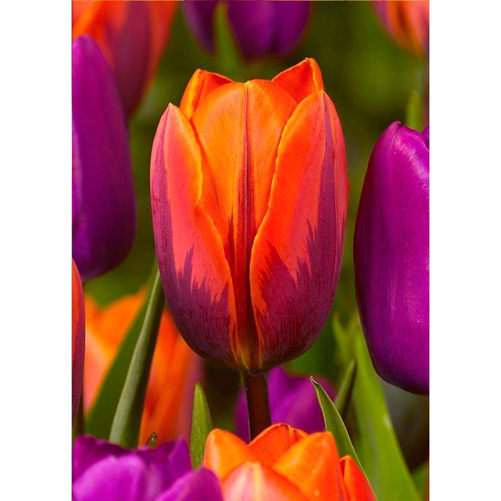 Fleurs - diamant rond complet - 30x40cm