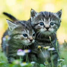 Charger l&#39;image dans la galerie, Art - diamant rond complet - 30x30cm
