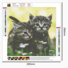 Charger l&#39;image dans la galerie, Art - diamant rond complet - 30x30cm
