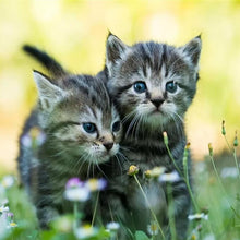 Charger l&#39;image dans la galerie, Art - diamant rond complet - 30x30cm
