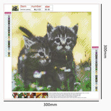 Charger l&#39;image dans la galerie, Art - diamant rond complet - 30x30cm
